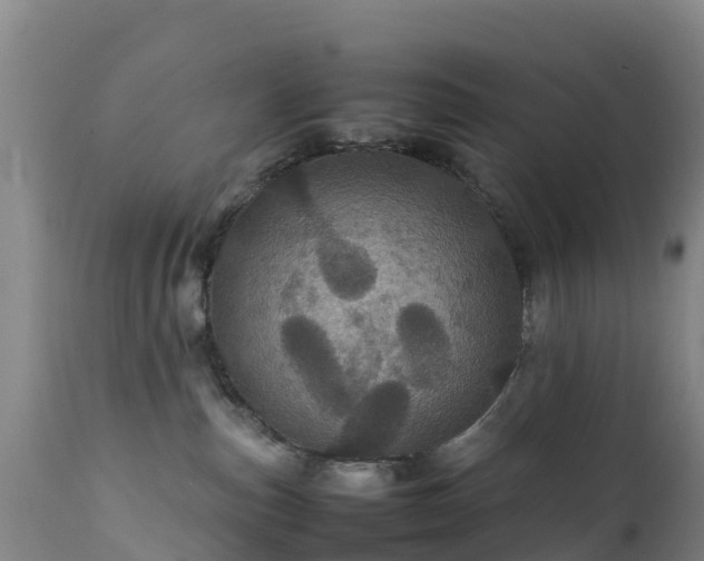 X0000111470187200907201145