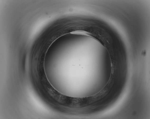 X0000111470190200907201145