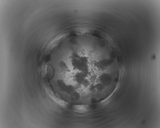 X0000111470191200907201145