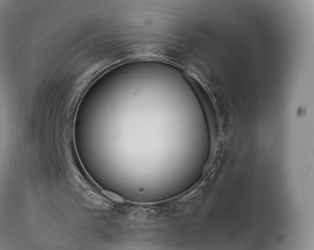 X0000111470193200907201145