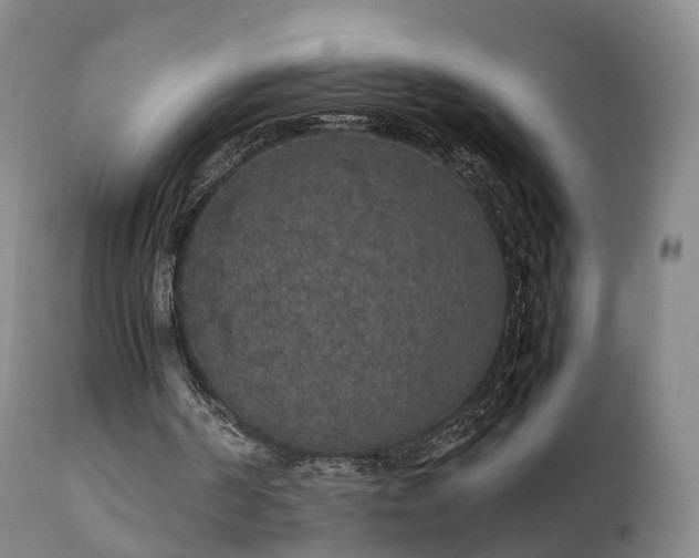 X0000111470194200907201145