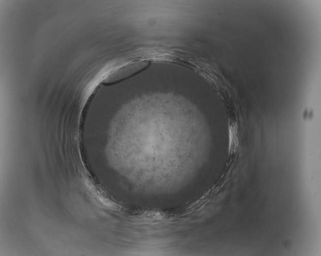 X0000111470195200907201145