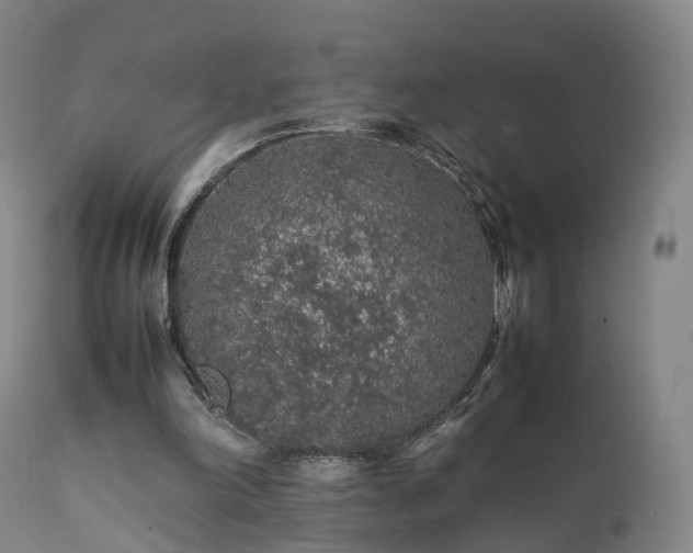 X0000111470198200907201145