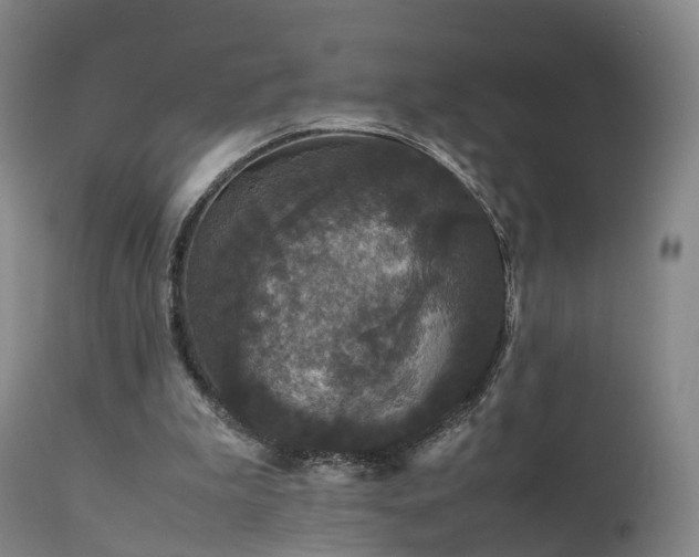 X0000111470199200907201145