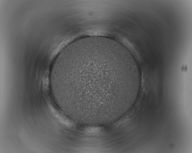 X0000111470202200907201145