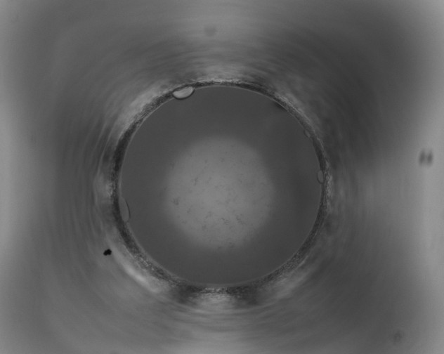 X0000111470203200907201145