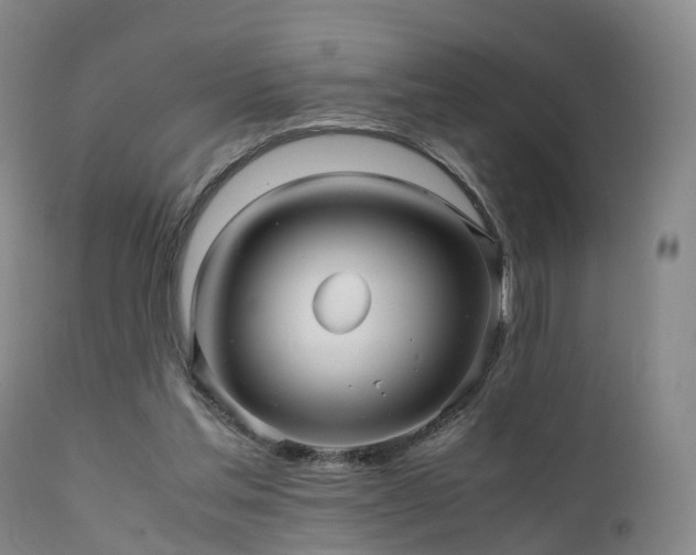 X0000111470205200907201144