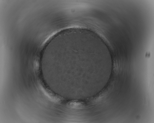 X0000111470208200907201144