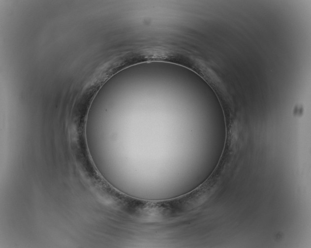 X0000111470209200907201144