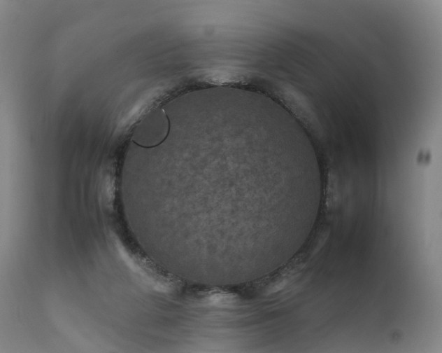 X0000111470210200907201144