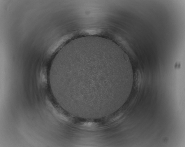 X0000111470212200907201144