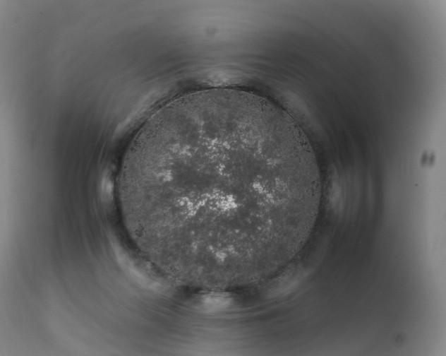 X0000111470214200907201144