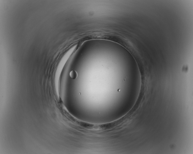 X0000111470217200907201144