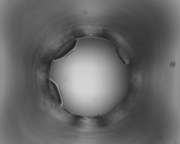 X0000111470221200907201144