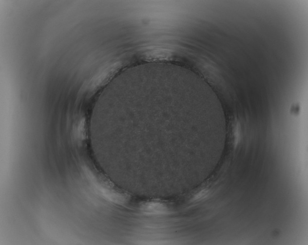 X0000111470224200907201144