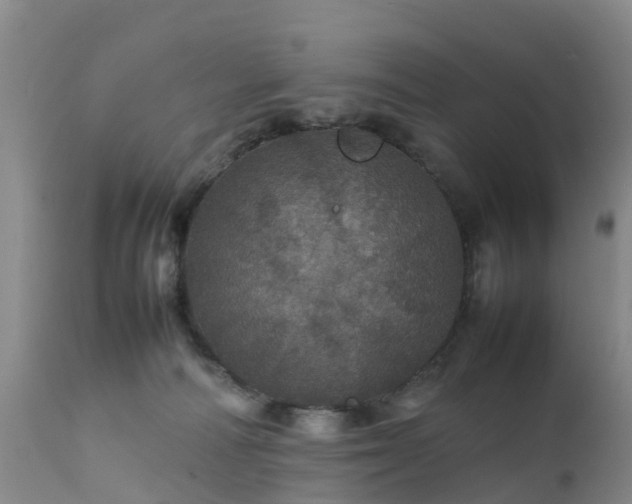 X0000111470226200907201144