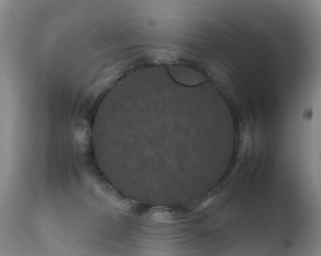 X0000111470228200907201144