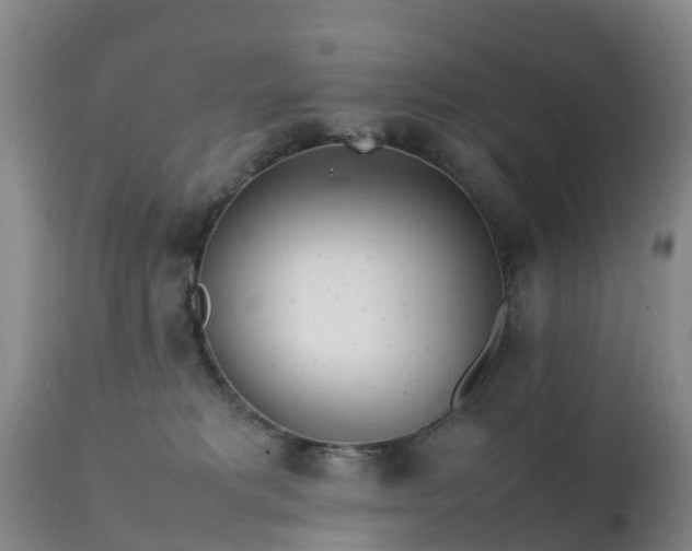 X0000111470229200907201144