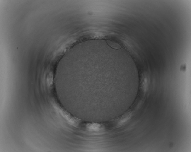 X0000111470230200907201144