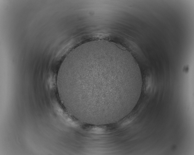 X0000111470236200907201144