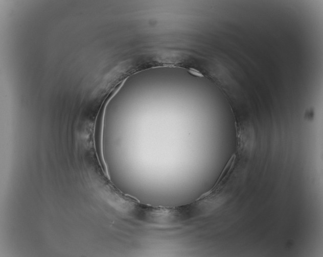 X0000111470237200907201144