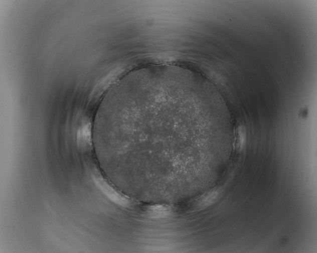 X0000111470238200907201144