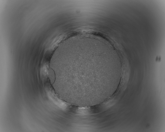 X0000111470240200907201144