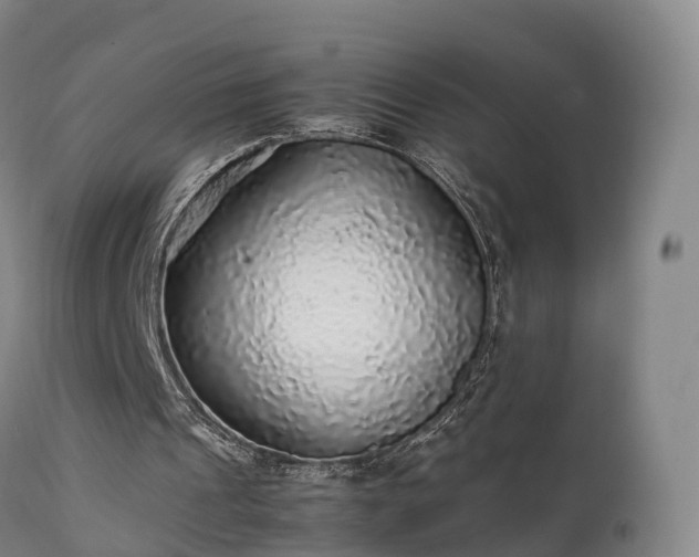 X0000111470241200907201143