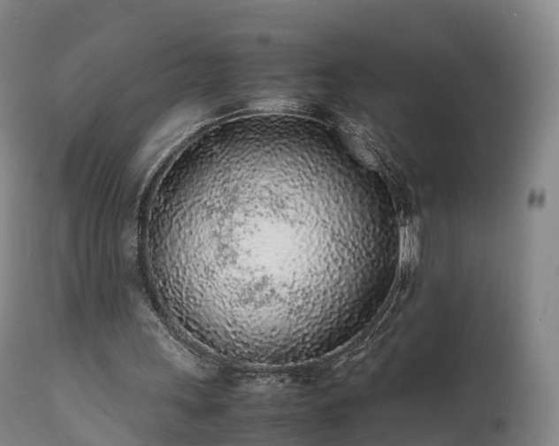 X0000111470243200907201143