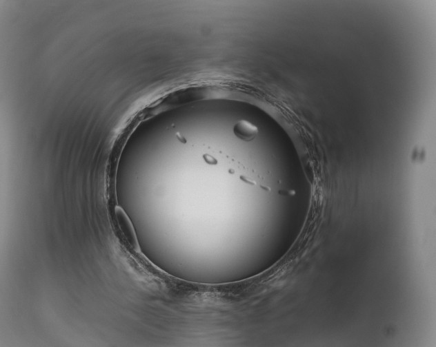 X0000111470244200907201143