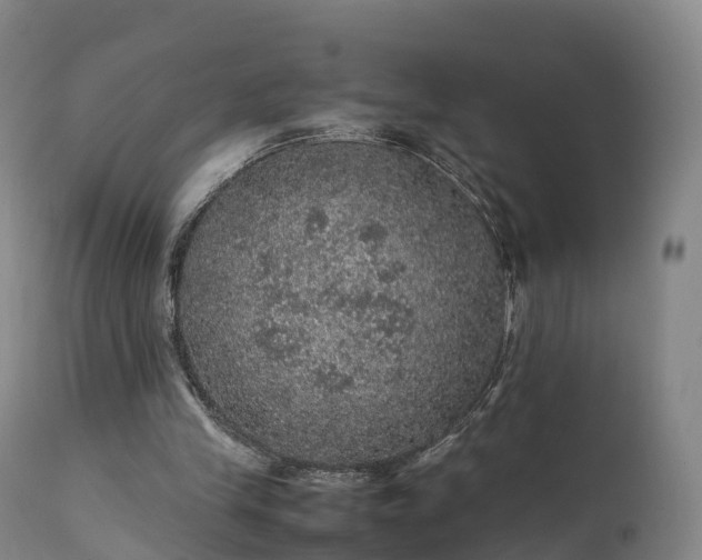 X0000111470245200907201143