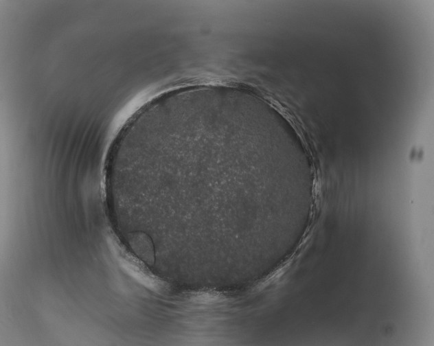 X0000111470246200907201143