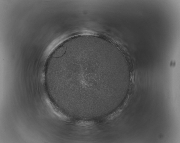 X0000111470247200907201143