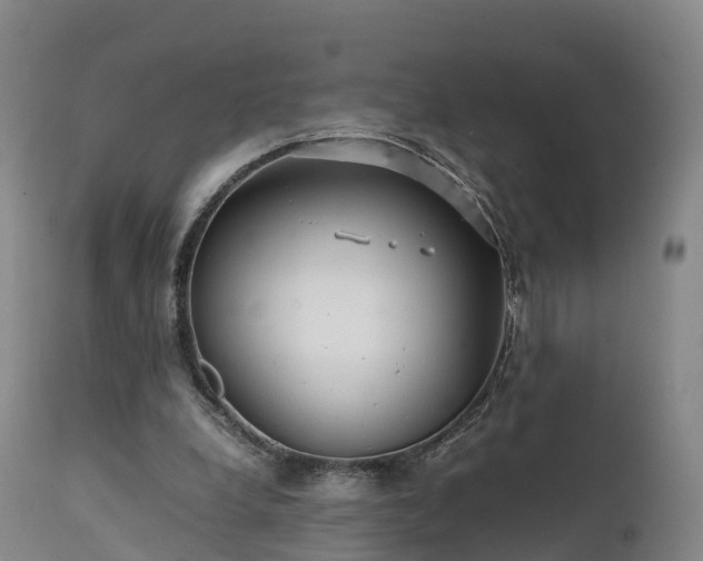 X0000111470248200907201143