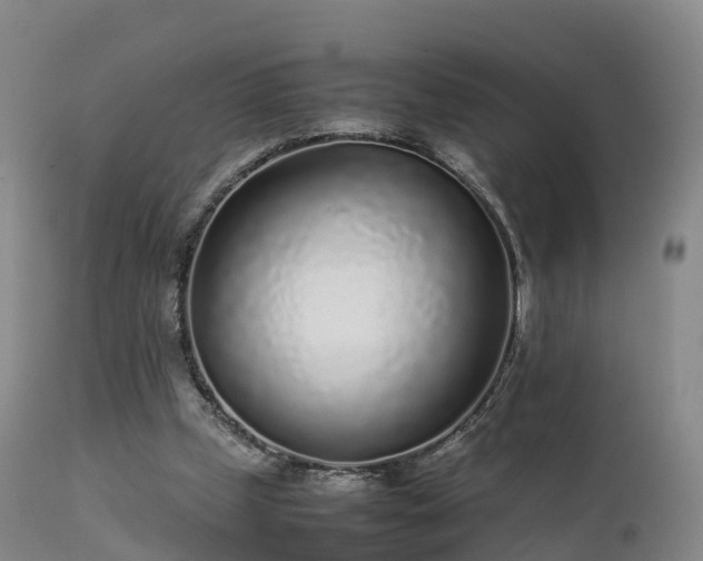 X0000111470249200907201143