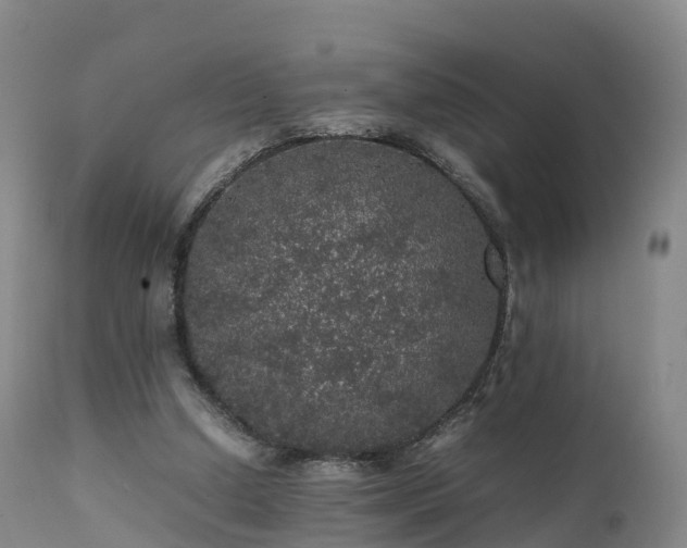 X0000111470250200907201143