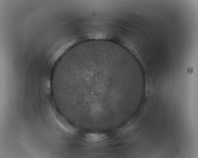 X0000111470251200907201143