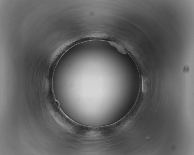 X0000111470252200907201143