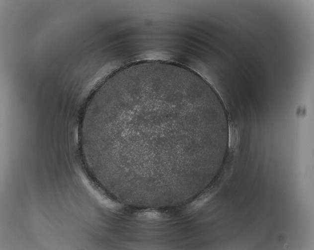 X0000111470253200907201144