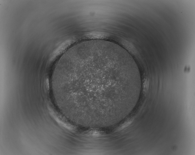 X0000111470254200907201144