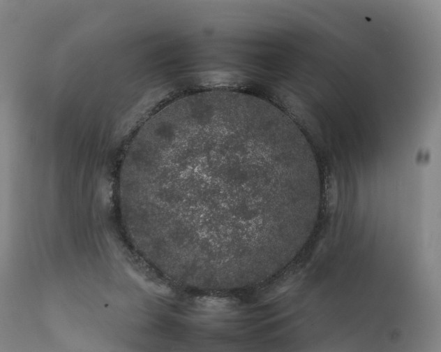 X0000111470255200907201144