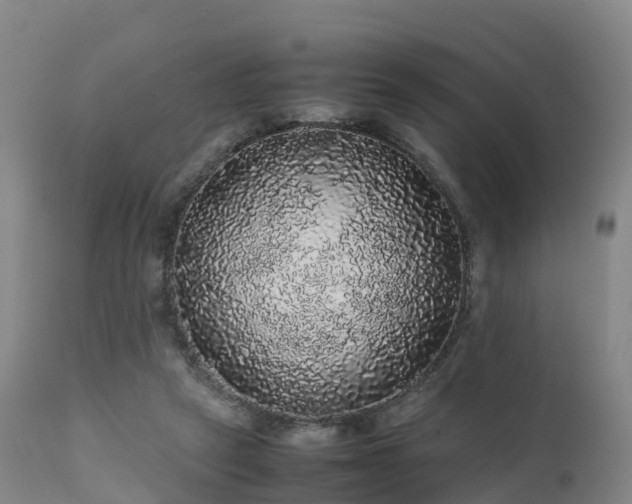 X0000111470257200907201144