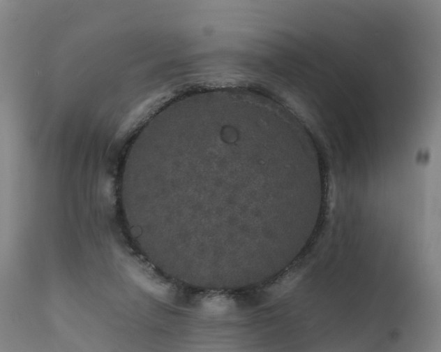 X0000111470258200907201144