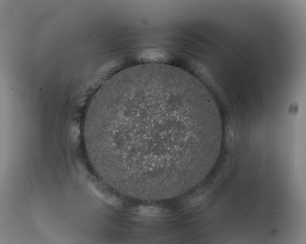 X0000111470259200907201144