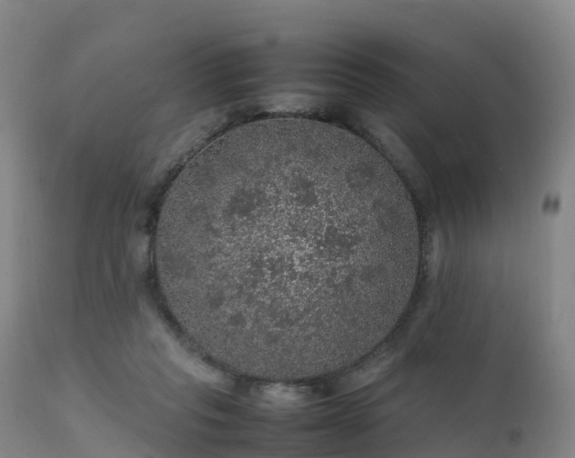 X0000111470261200907201144