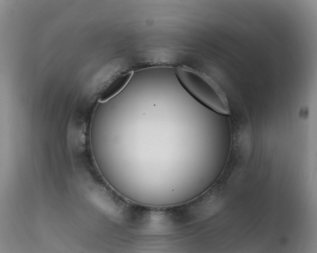 X0000111470264200907201144