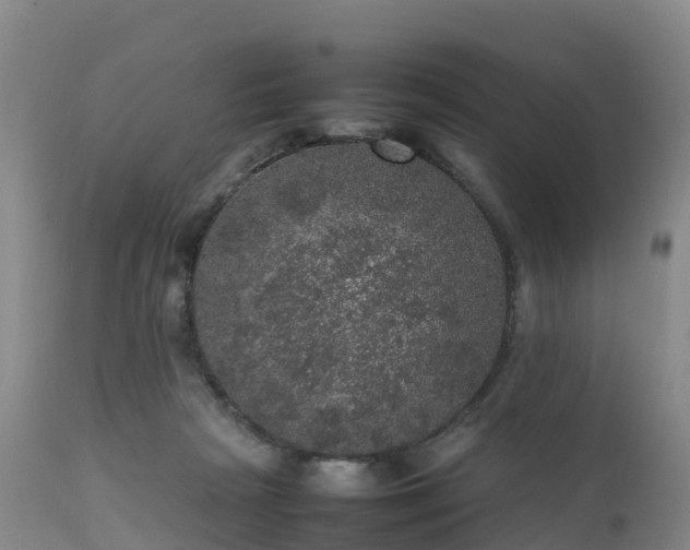 X0000111470265200907201144