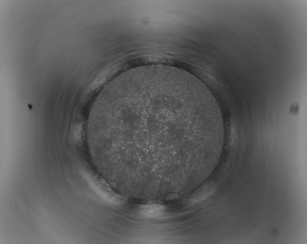 X0000111470266200907201144