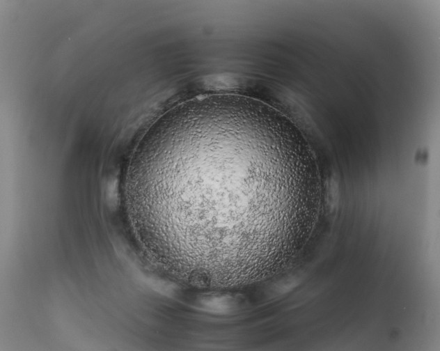 X0000111470267200907201144