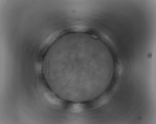 X0000111470268200907201144